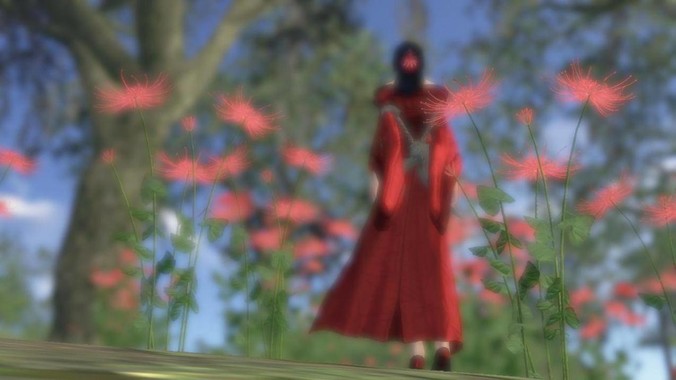 为什么年轻人不要养龟？